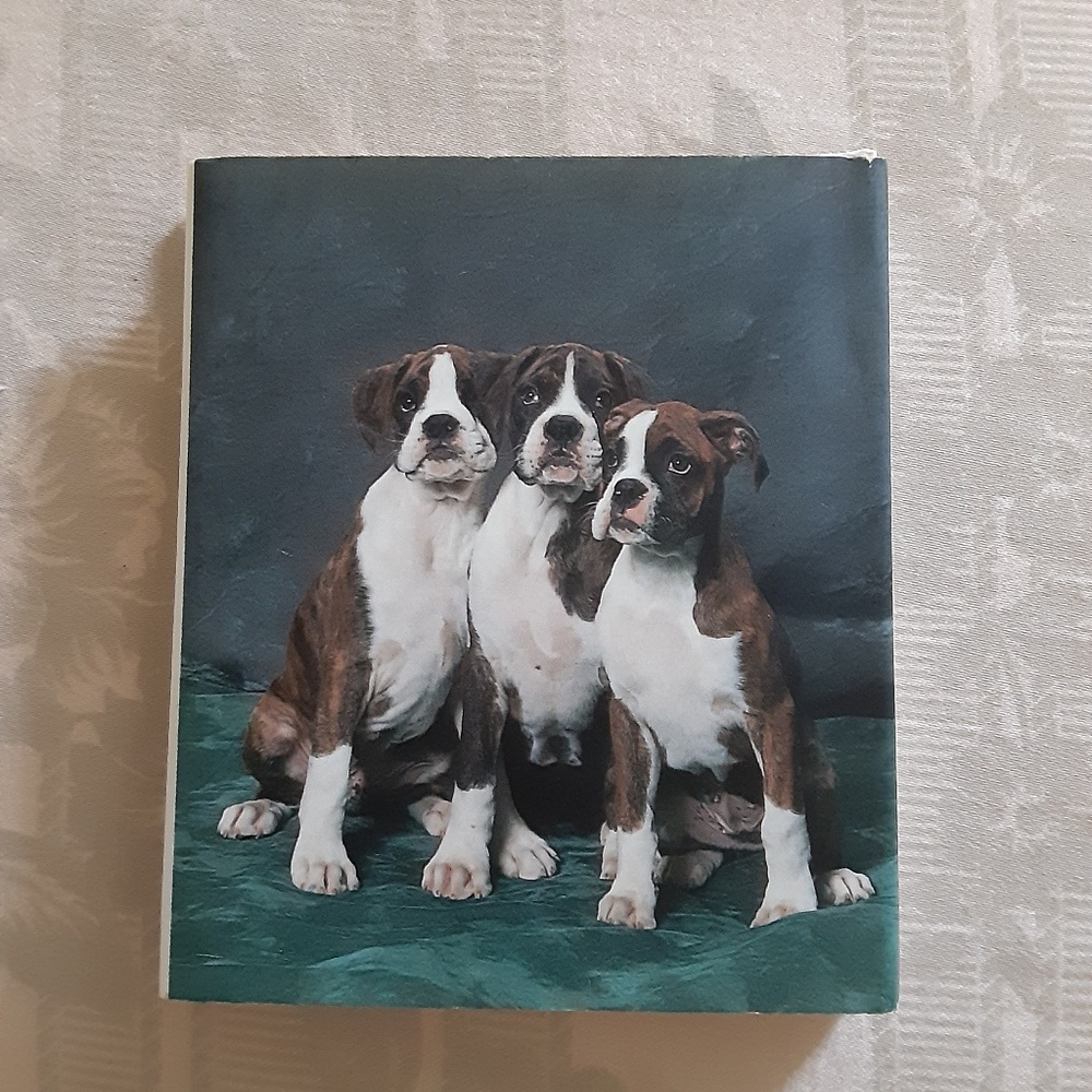 Boxer Book, mini - Picture 2 of 5